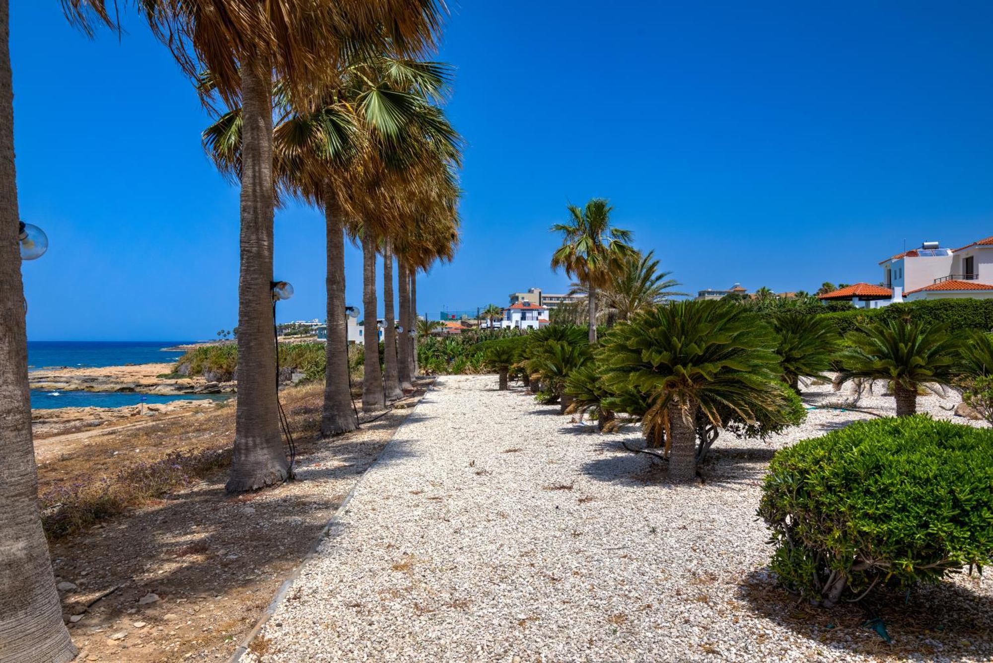 Platzia Beach Villas Paphos Eksteriør bilde